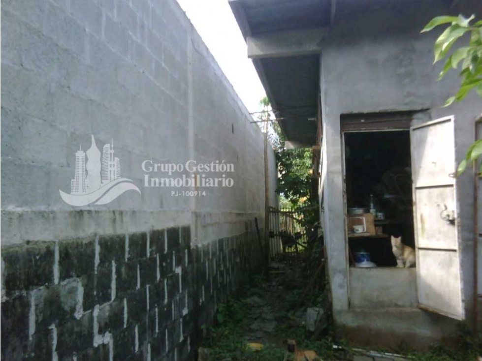 SE VENDE CASA O GALERA Y SE ALQUILA 150mt (CONSTRUCCIÓN) — foto 3