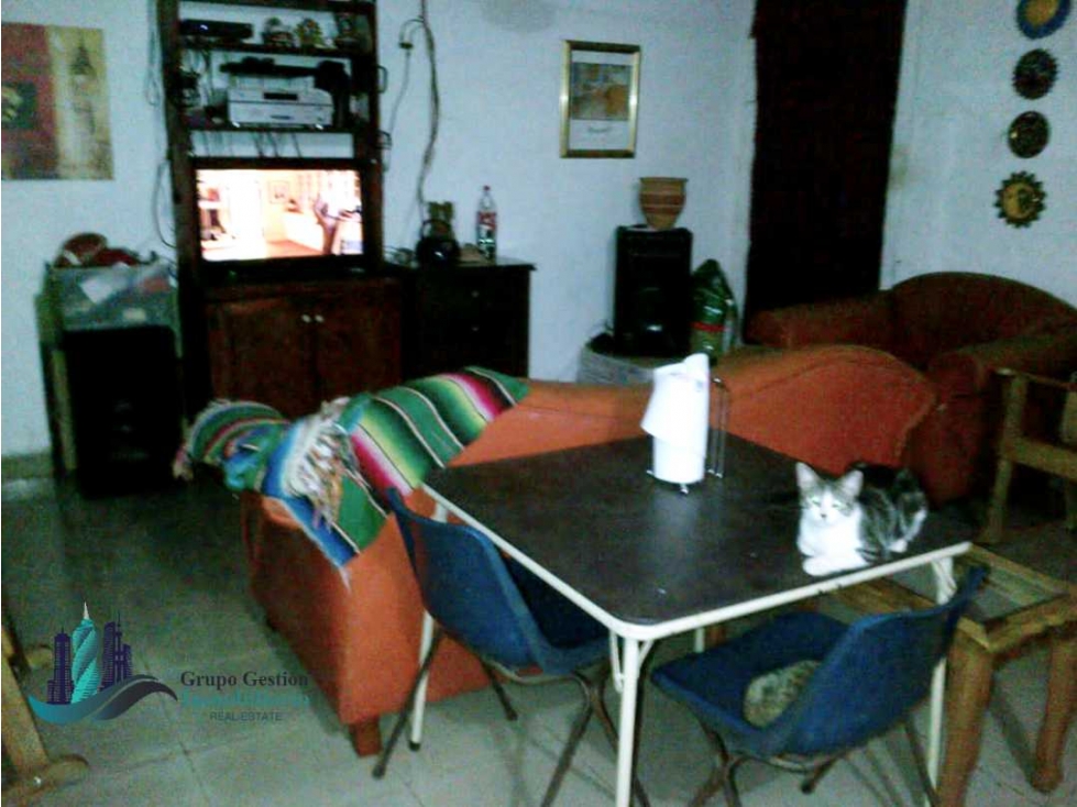 SE VENDE CASA O GALERA Y SE ALQUILA 150mt (CONSTRUCCIÓN) — foto 5
