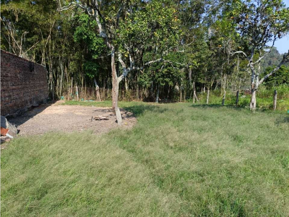 Se vende casalote 1000 mtrs² La Palmita Pacho c/marca - 3