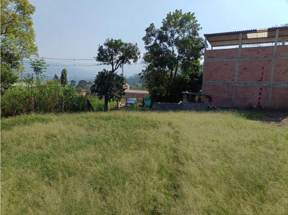 Se vende casalote 1000 mtrs² La Palmita Pacho c/marca - 4