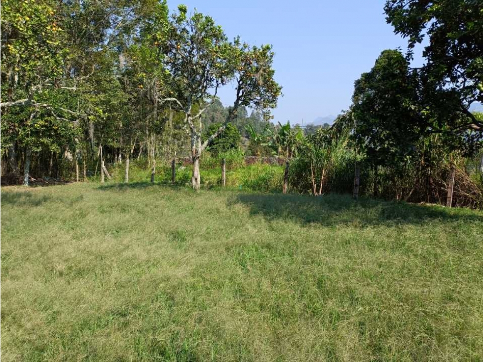 Se vende casalote 1000 mtrs² La Palmita Pacho c/marca - 5