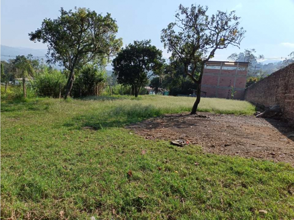 Se vende casalote 1000 mtrs² La Palmita Pacho c/marca - 2