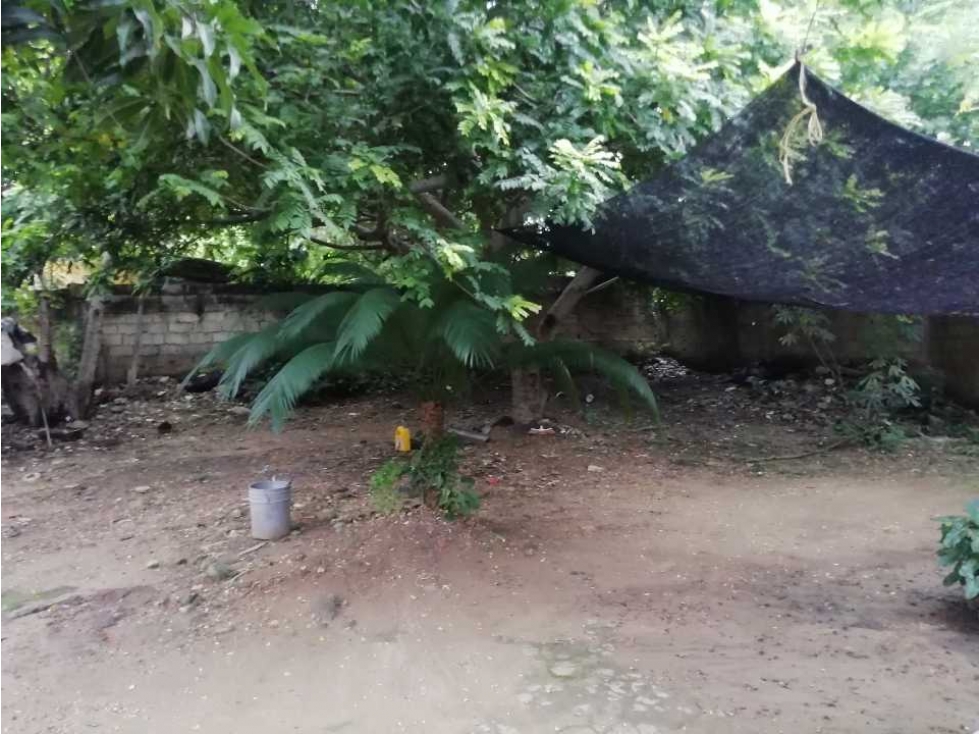 SE VENDE CASA-LOTE DE 450M2 EN EL BARRIO ESPAÑA - CARTAGENA — foto 4