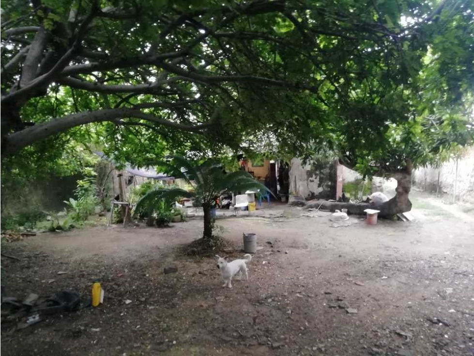 SE VENDE CASA-LOTE DE 450M2 EN EL BARRIO ESPAÑA - CARTAGENA — foto 5