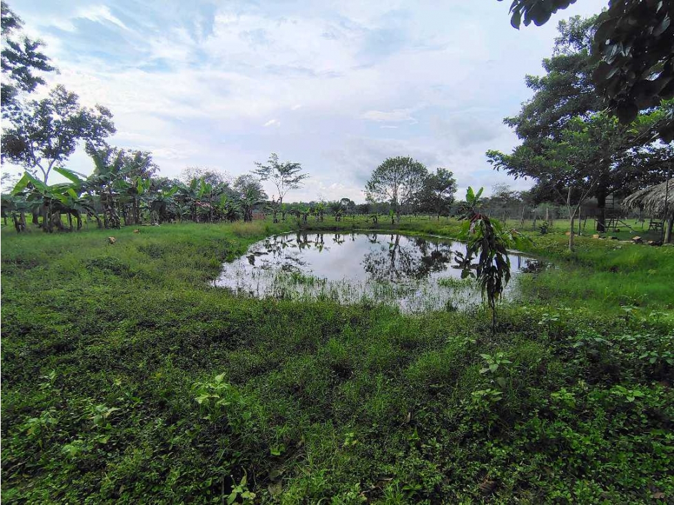 SE VENDE CASI FINCA UBICACIÓN ESTRATÉGICA — foto 6
