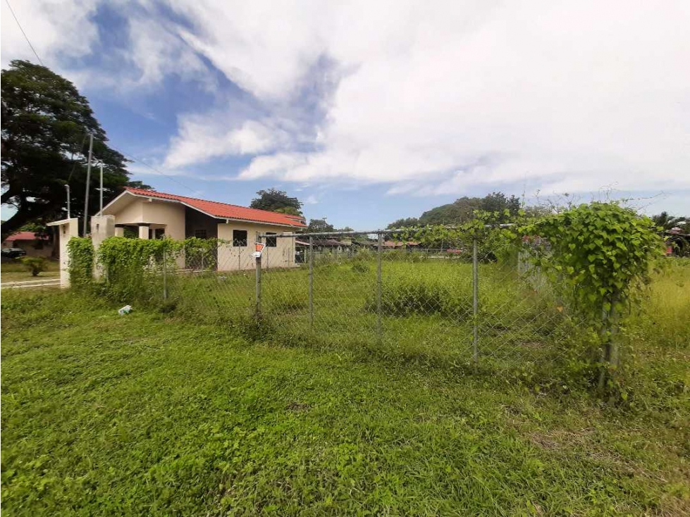 SE VENDE CÉNTRICO LOTE 300 m² EN GUARARE - 2