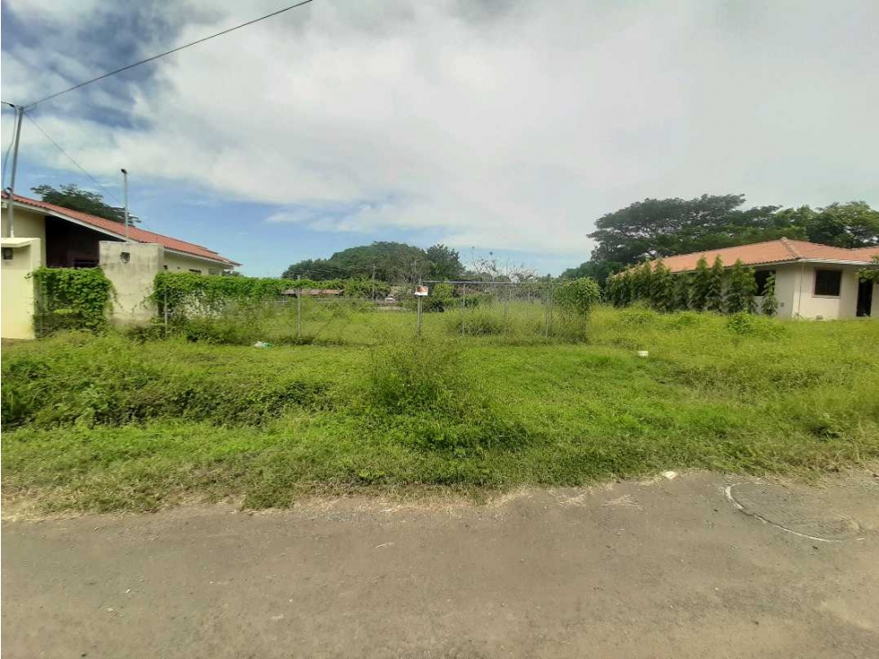 SE VENDE CÉNTRICO LOTE 300 m² EN GUARARE - 4