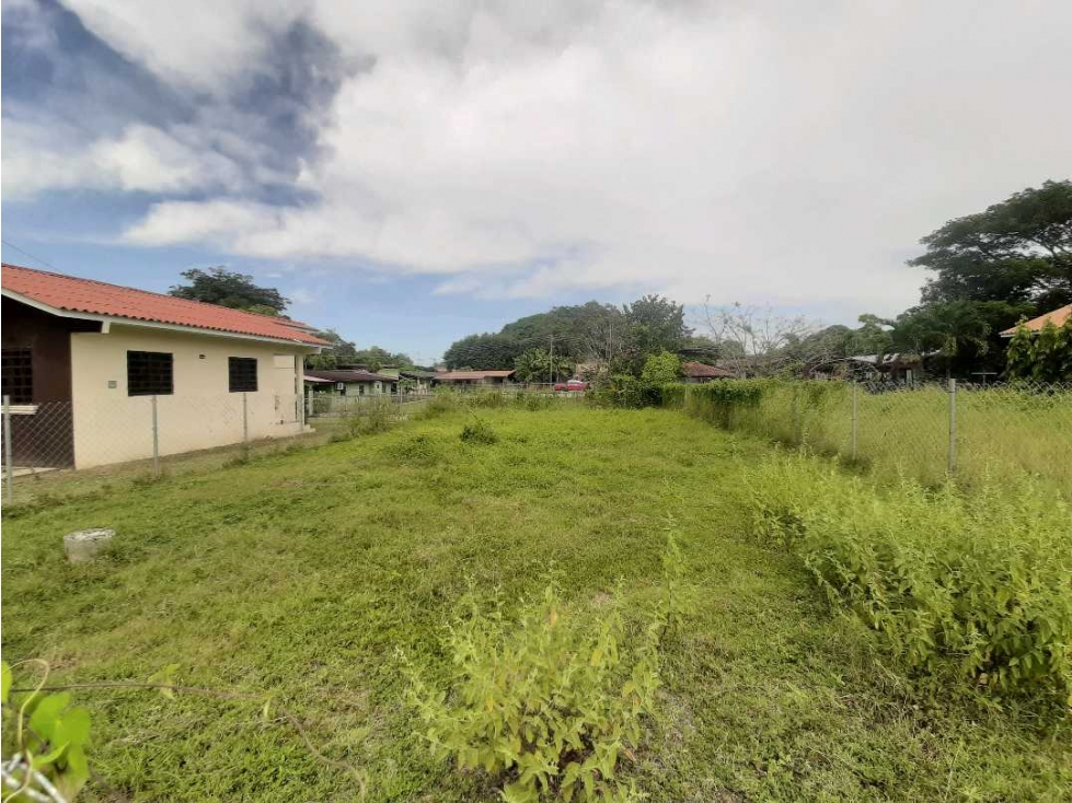 SE VENDE CÉNTRICO LOTE 300 m² EN GUARARE - 5