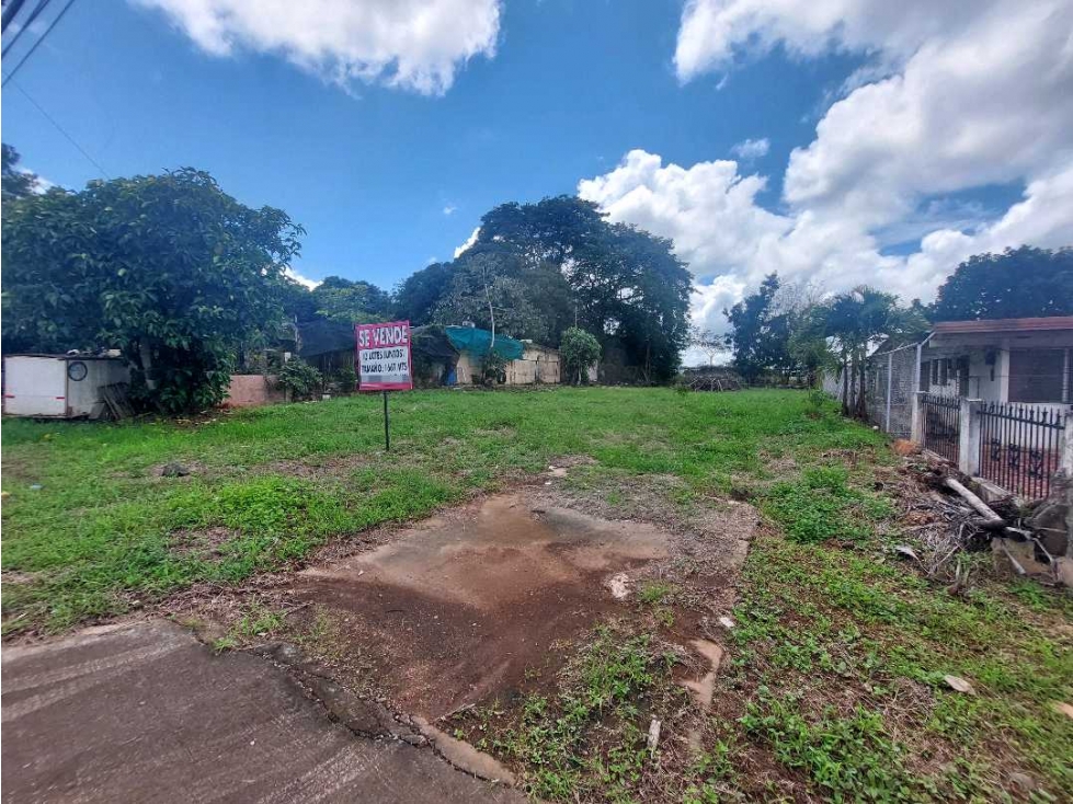 Se vende dos lotes con casa en zona comercial Chitre - Herrera. - 5
