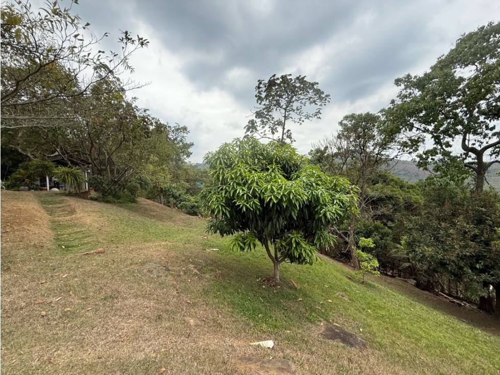 SE VENDE CASA EN DAPA RP-MUR WS 10335093 — foto 3