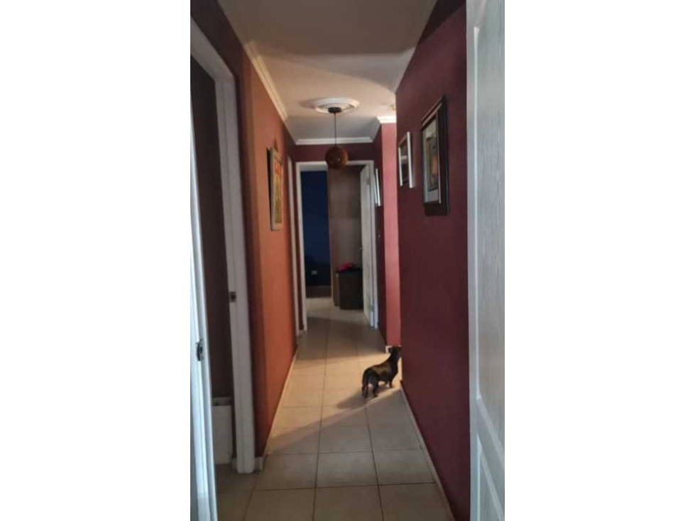 Se Vende Espectacular Apartamento en La Vía España — foto 6