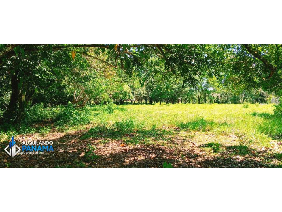 Se vende espectacular finca especial para desarrollo residencial! - 1