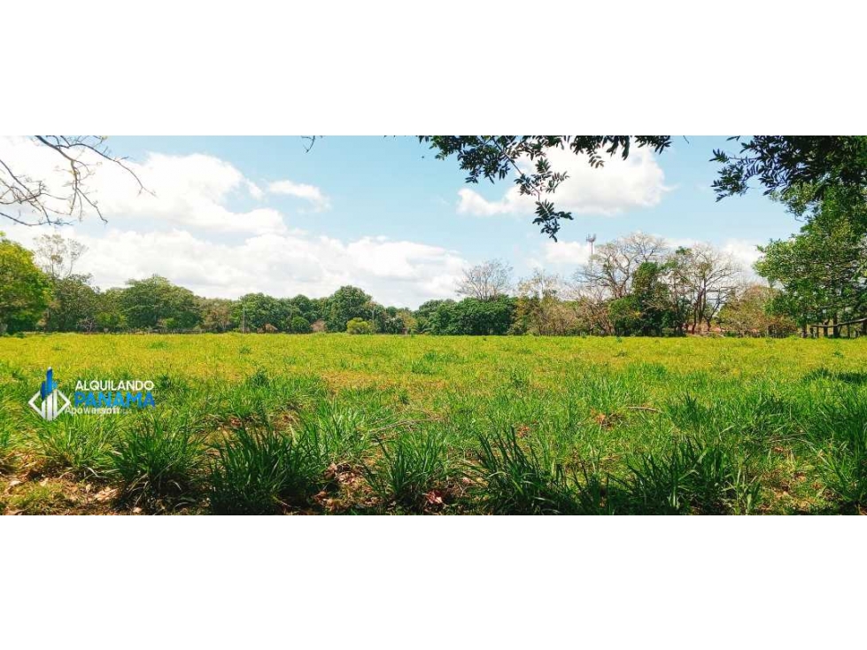 Se vende espectacular finca especial para desarrollo residencial! — foto 2