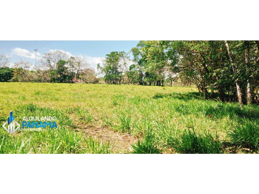 Se vende espectacular finca especial para desarrollo residencial! — foto 3