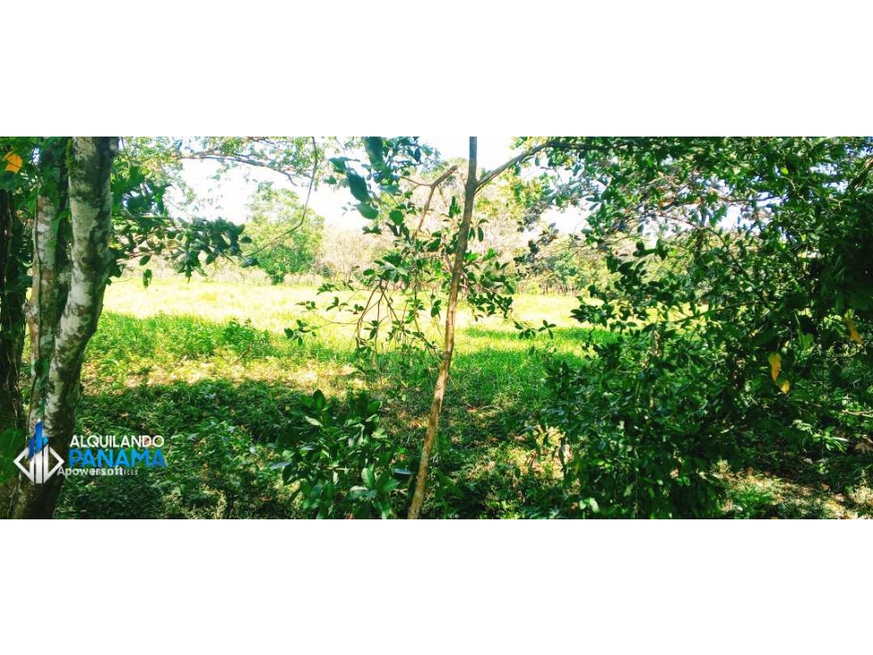 Se vende espectacular finca especial para desarrollo residencial! — foto 4