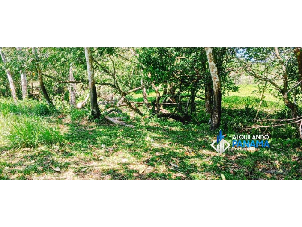 Se vende espectacular finca especial para desarrollo residencial! — foto 5