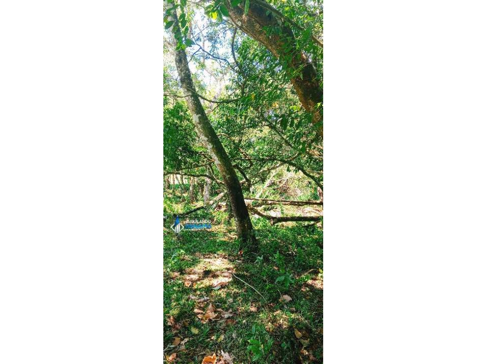 Se vende espectacular finca especial para desarrollo residencial! — foto 6