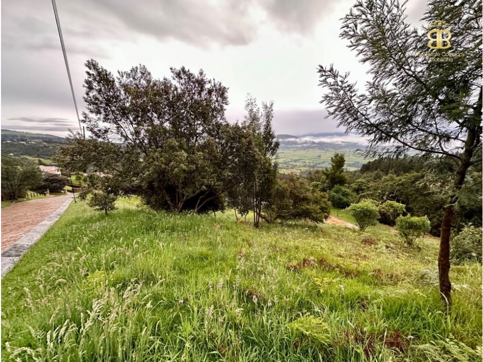 Se vende espectacular lote en Chia Yerbabuena — foto 3