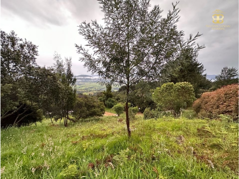 Se vende espectacular lote en Chia Yerbabuena — foto 5