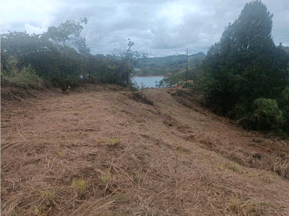 Se vende espectacular lote en guatape sector la magdalena — foto 3