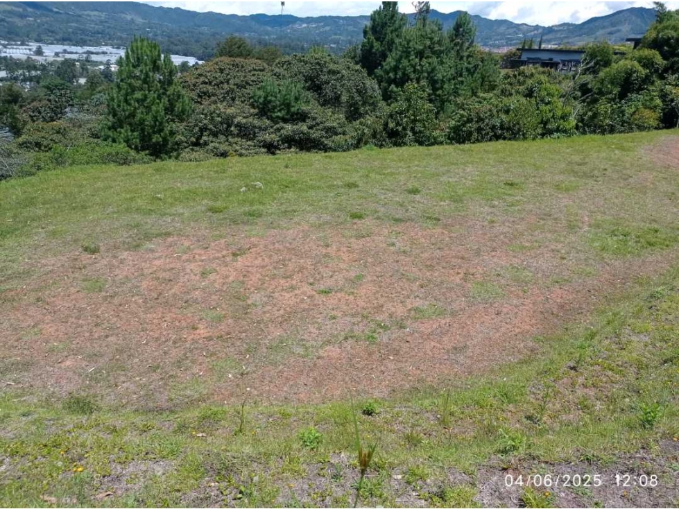 Se vende espectacular lote en la ceja Antioquia — foto 4