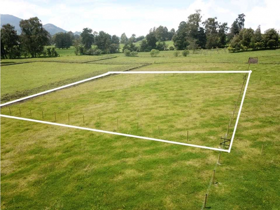 SE VENDE ESPECTACULAR LOTE EN LLANO DE OVEJAS SAN PEDRO DE LOS MILAGRO — foto 2