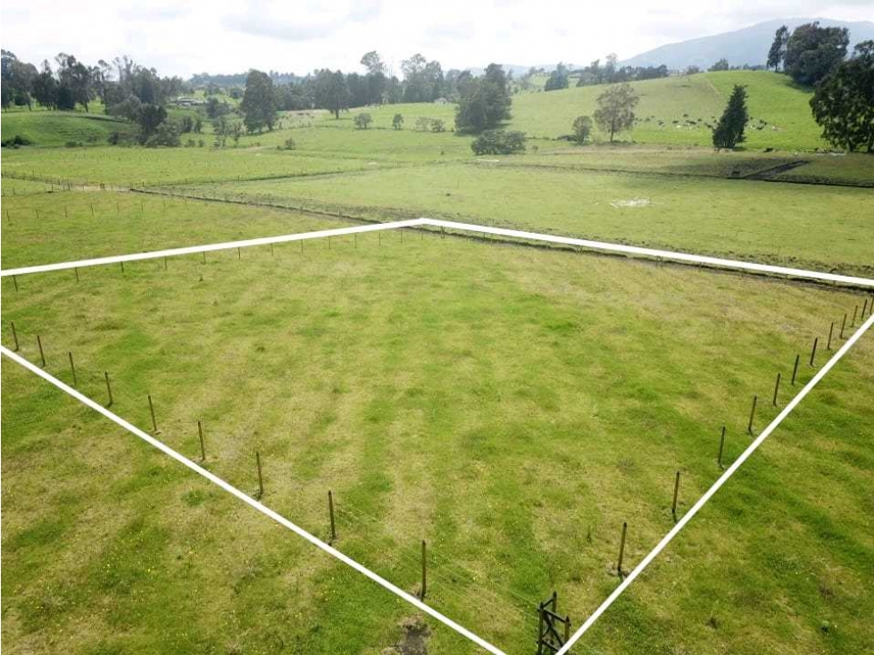 SE VENDE ESPECTACULAR LOTE EN LLANO DE OVEJAS SAN PEDRO DE LOS MILAGRO — foto 3