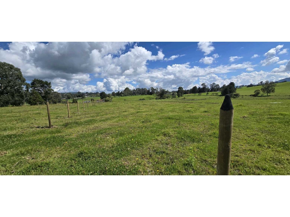 SE VENDE ESPECTACULAR LOTE EN LLANO DE OVEJAS SAN PEDRO DE LOS MILAGRO — foto 4