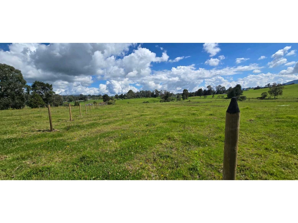 SE VENDE ESPECTACULAR LOTE EN LLANO DE OVEJAS SAN PEDRO DE LOS MILAGRO — foto 6