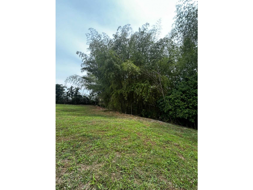 Se vende espectacular lote en Malabar Cerritos, Pereira - 4