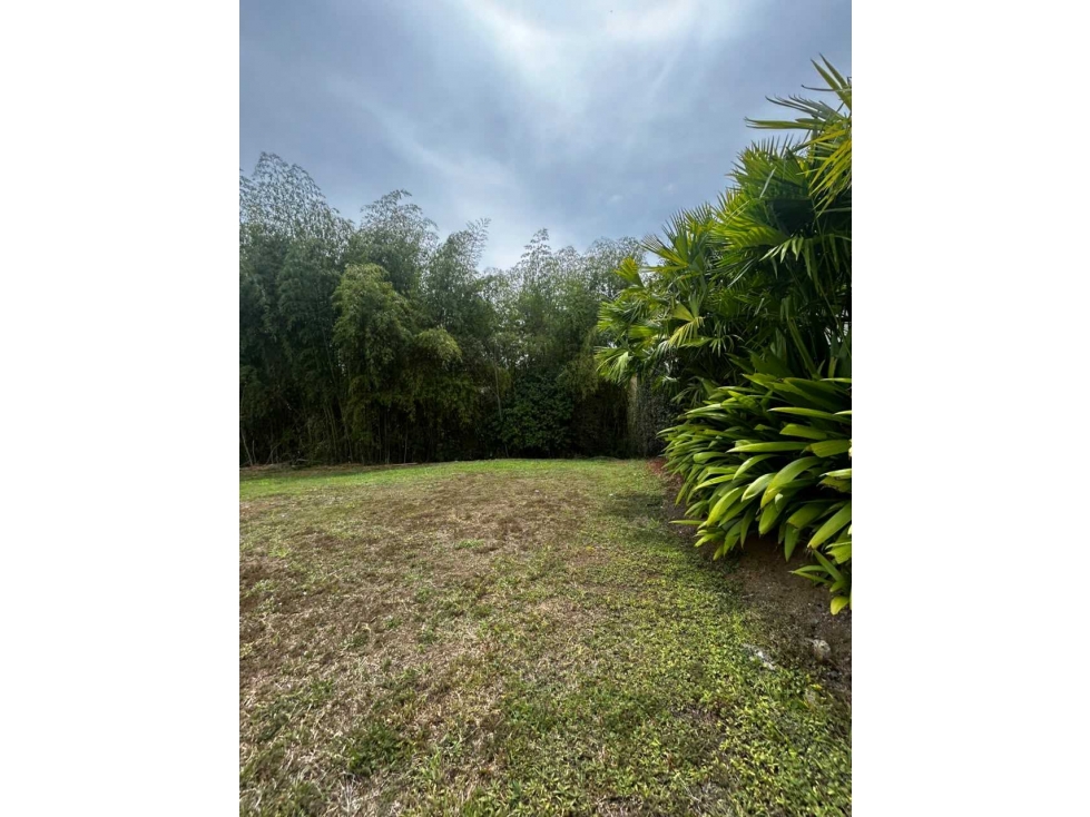 Se vende espectacular lote en Malabar Cerritos, Pereira - 6