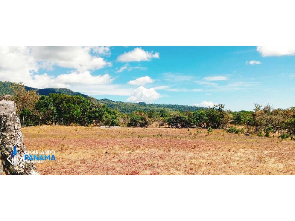 Se vende espectacular terreno con hermosas vistas en Volcan! - 4