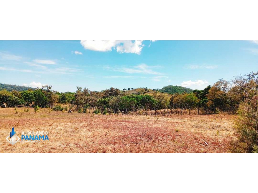 Se vende espectacular terreno con hermosas vistas en Volcan! - 5