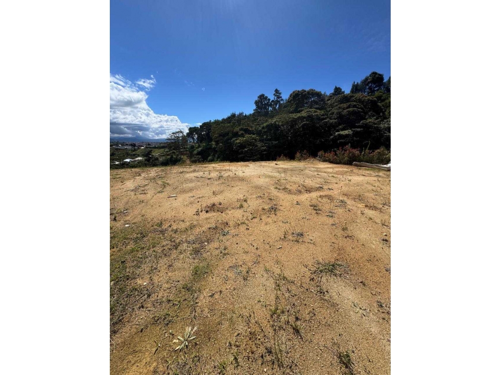 SE VENDE EXCELENTE LOTE EN EL CARMEN DE VIBORAL. — foto 4