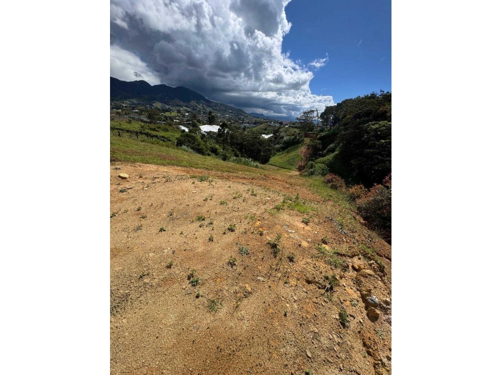SE VENDE EXCELENTE LOTE EN EL CARMEN DE VIBORAL. — foto 5