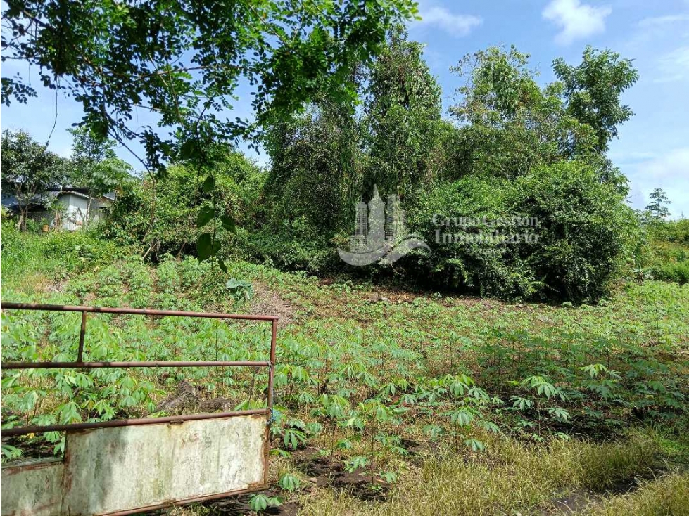 SE VENDE FINCA, 12.834.12 M2, $80.000, Bongo abajo cerca de la escuela - 1