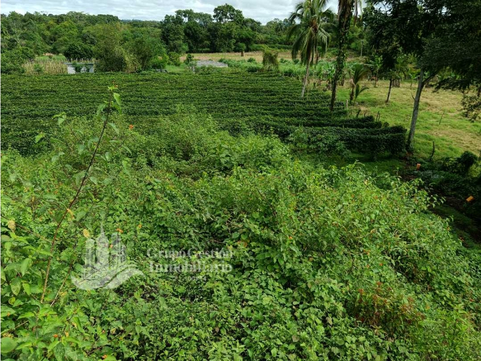 SE VENDE FINCA, 12.834.12 M2, $80.000, Bongo abajo cerca de la escuela - 4