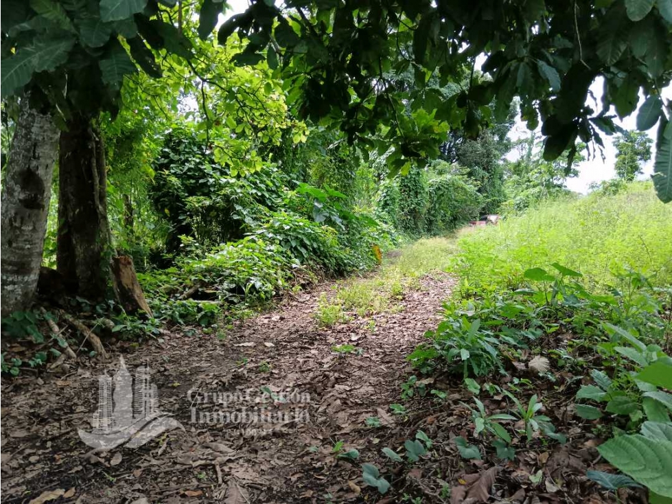 SE VENDE FINCA, 12.834.12 M2, $80.000, Bongo abajo cerca de la escuela - 5