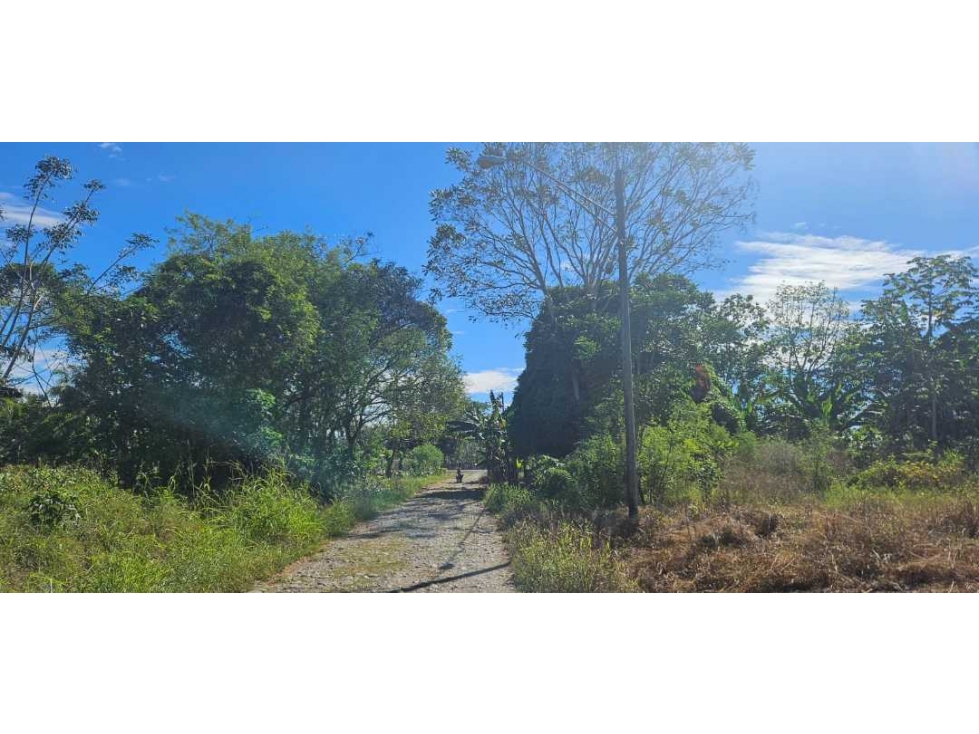 SE VENDE FINCA 1 HAZ CON 1119 METROS VIA ALANJE - 1