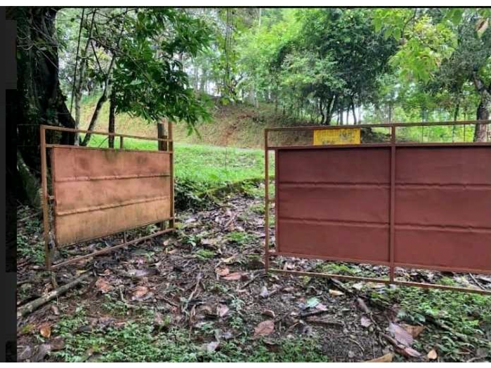 SE VENDE FINCA 4 HECTAREAS LAS MINAS HERRERA - 2