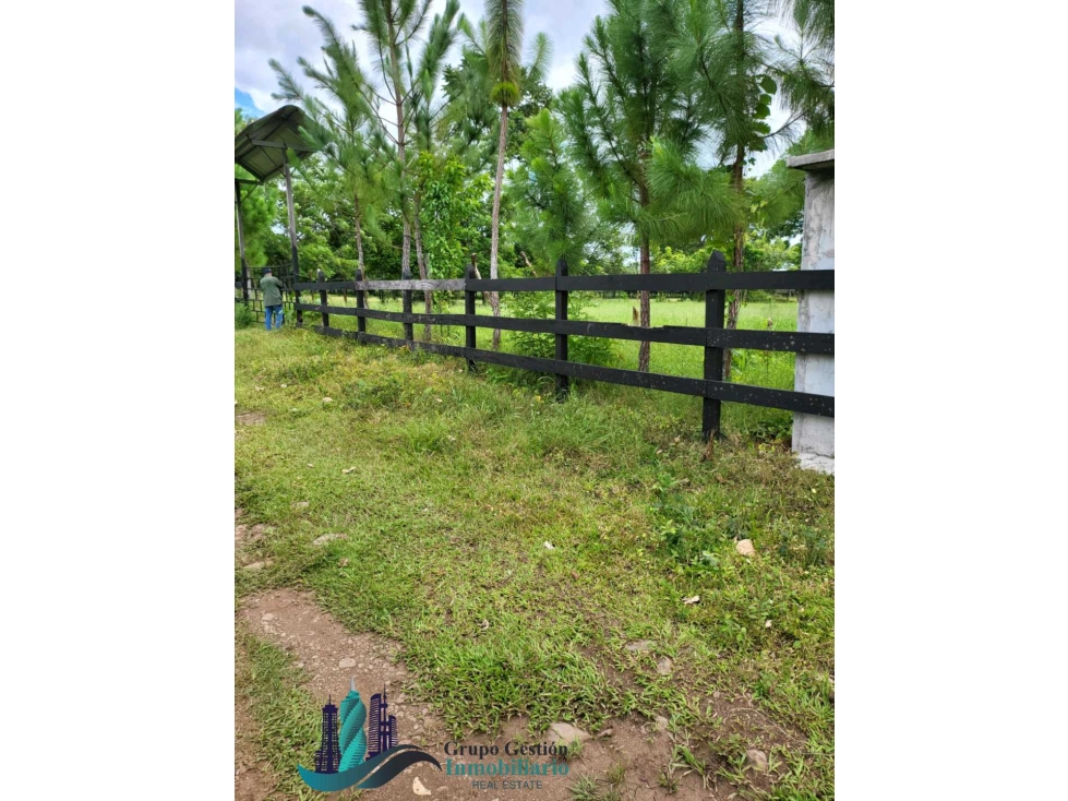 SE VENDE FINCA 7 HECTAREAS, SIOGUI ALANJEL - 2