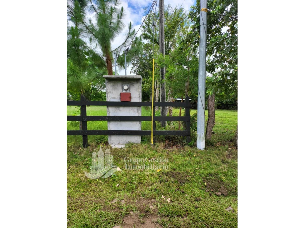 SE VENDE FINCA 7 HECTAREAS, SIOGUI ALANJEL - 3