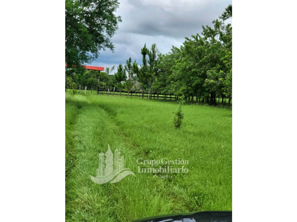 SE VENDE FINCA 7 HECTAREAS, SIOGUI ALANJEL - 5