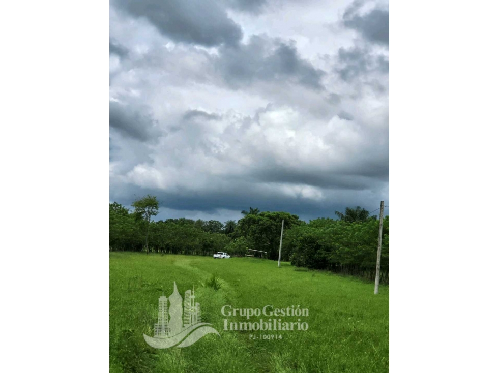 SE VENDE FINCA 7 HECTAREAS, SIOGUI ALANJEL - 6