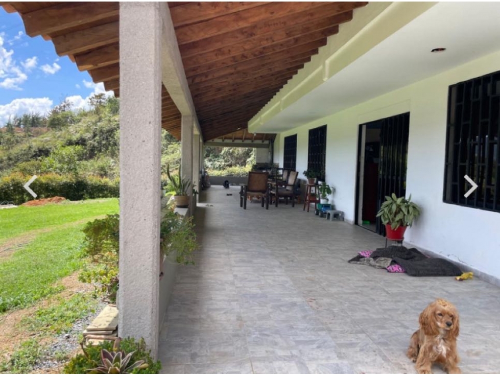 SE VENDE FINCA A 5 MINUTOS DE LA CEJA EN UNIDAD CERRADA — foto 5
