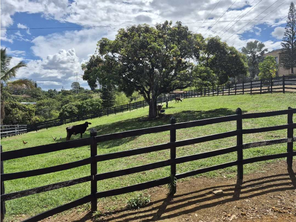 Se vende finca caballeriza en copacabana — foto 4