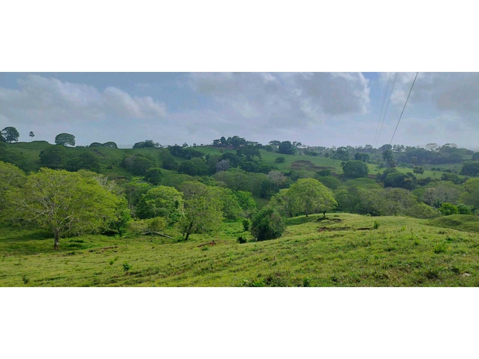 SE VENDE FINCA DE 150 HECTAREAS EN LOS CORDOBAS - 6
