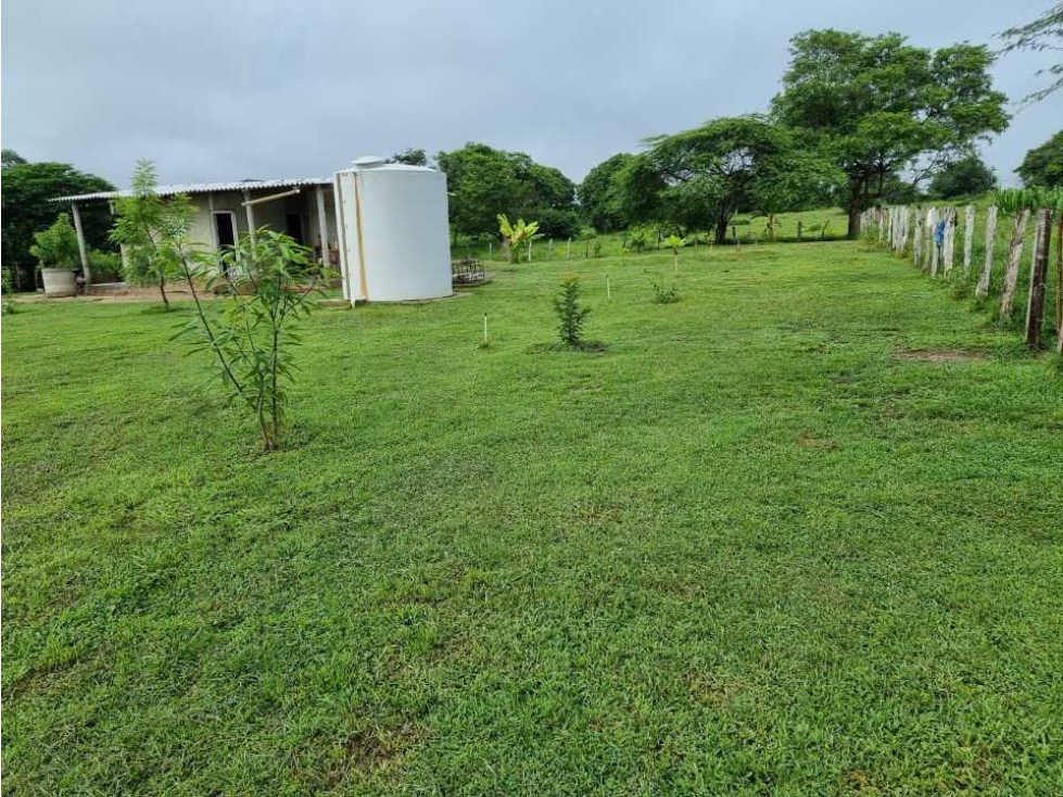 Se vende finca de 50 hectáreas a puerta cerrada en el retén, magdalena - 2