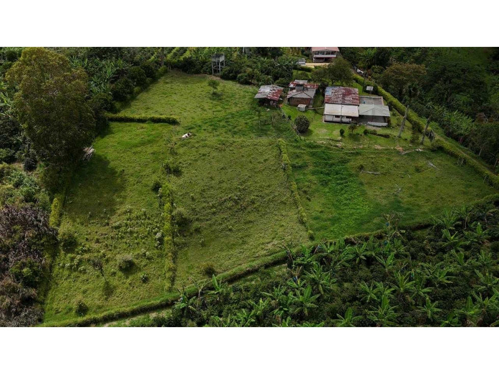 Se vende finca de 9 cuadras sector hojas anchas circasia — foto 2