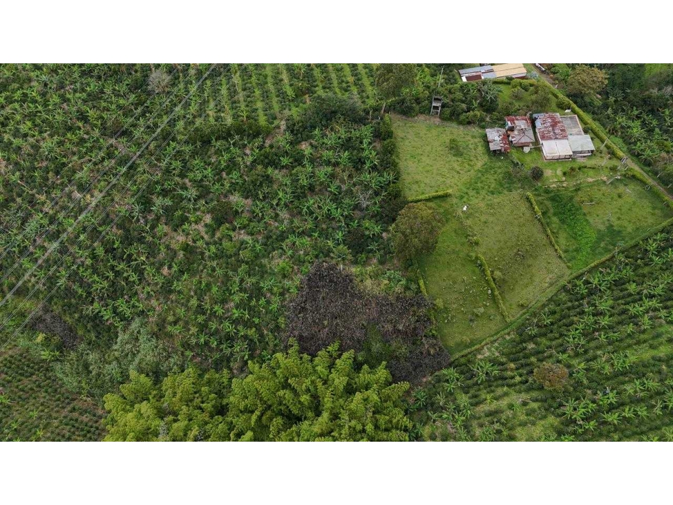 Se vende finca de 9 cuadras sector hojas anchas circasia — foto 5